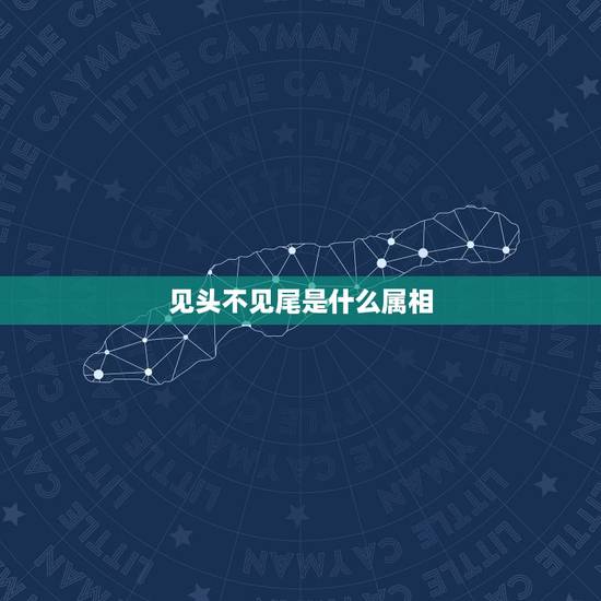见头不见尾是什么属相，年份的最后一个属相是猪年吗？