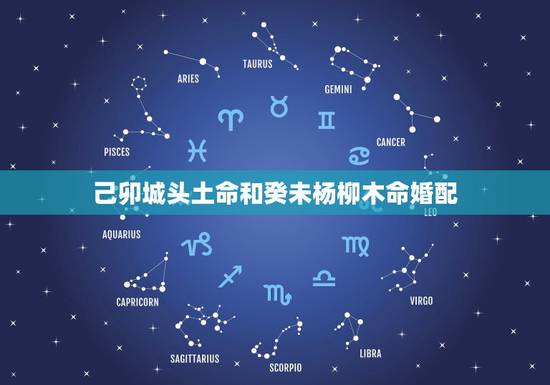 己卯城头土命和癸未杨柳木命婚配,男女五行婚配查询表(周易最权威) 己卯城头土命和癸未杨柳木命婚配,男女五行婚配查询表(周易最权威)