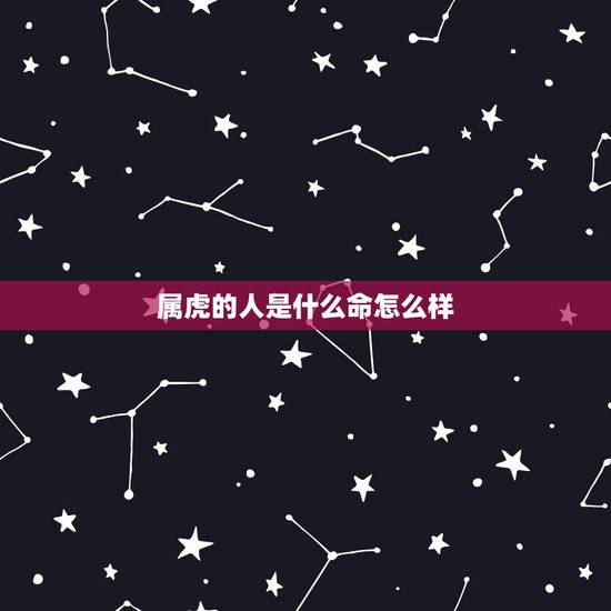 属虎的人是什么命怎么样,1962年属虎人是什么命 属虎的人是什么命怎么样,1962年属虎人是什么命