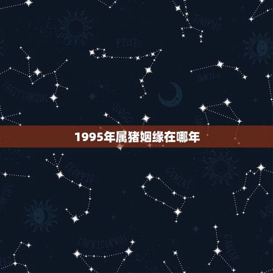 1995年属猪姻缘在哪年，1995年属猪的更佳配偶