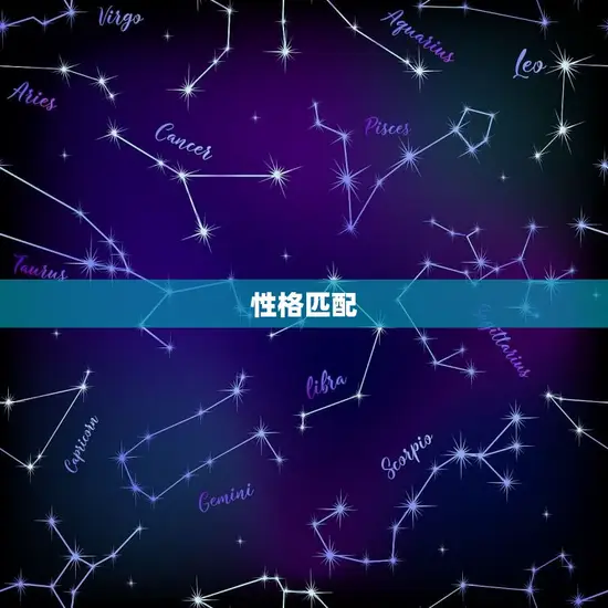 性格匹配 性格匹配