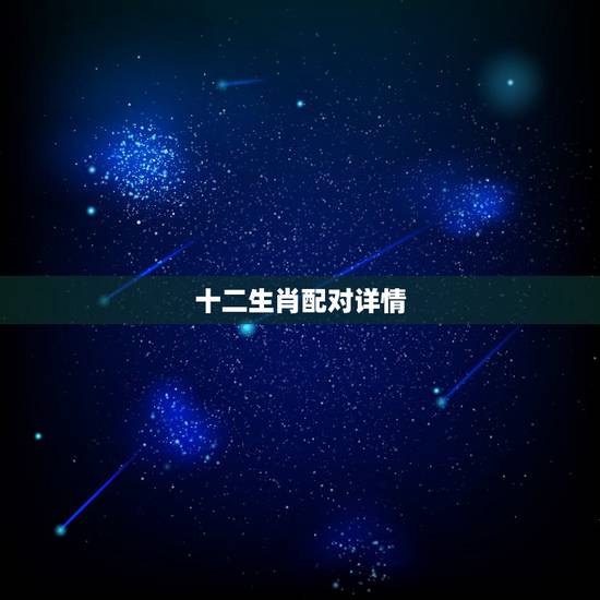 十二生肖配对详情，十二生肖配对指数表
