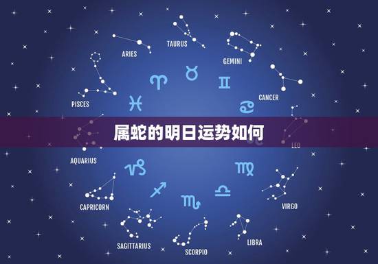 属蛇的明日运势如何，属蛇人今日财运如何？