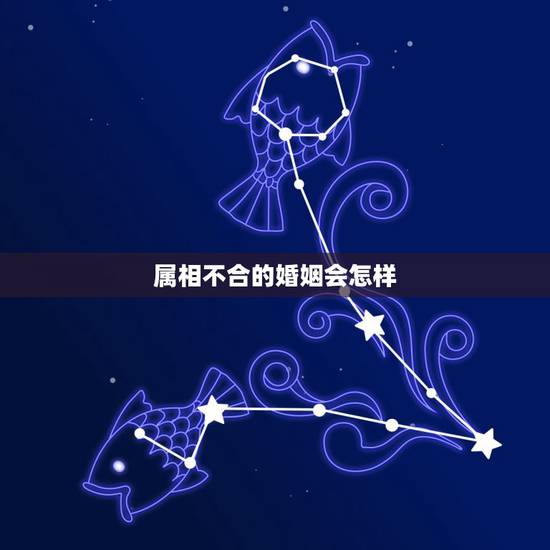 属相不合的婚姻会怎样，属猪和什么不合