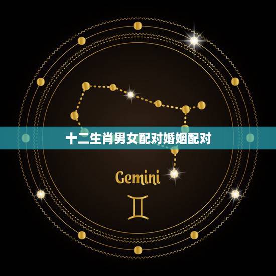 十二生肖男女配对婚姻配对,十二生肖婚姻配对图片 十二生肖男女配对婚姻配对,十二生肖婚姻配对图片