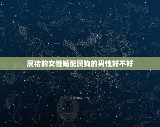 属猪的女性婚配属狗的男性好不好，属狗男和属猪女做夫妻好吗