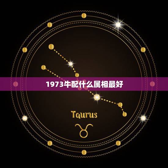1973牛配什么属相最好，1973年生人最合适与什么属相的人交朋友