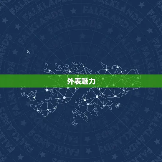 外表魅力 外表魅力