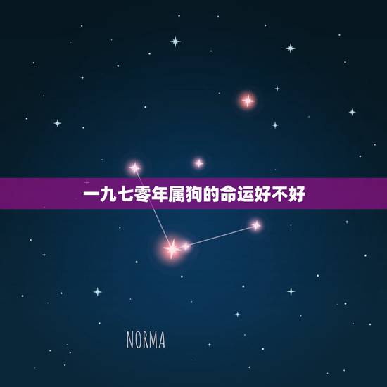 一九七零年属狗的命运好不好，一九七零属狗一生命运