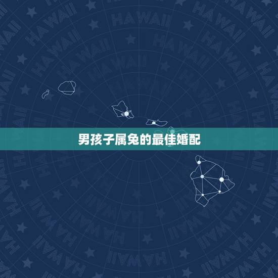 男孩子属兔的最佳婚配，属兔的男人和什么属相最般配