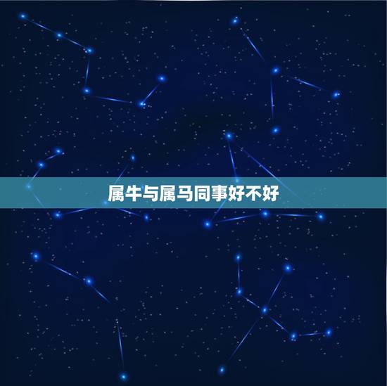 属牛与属马同事好不好，属牛的更佳事业搭档
