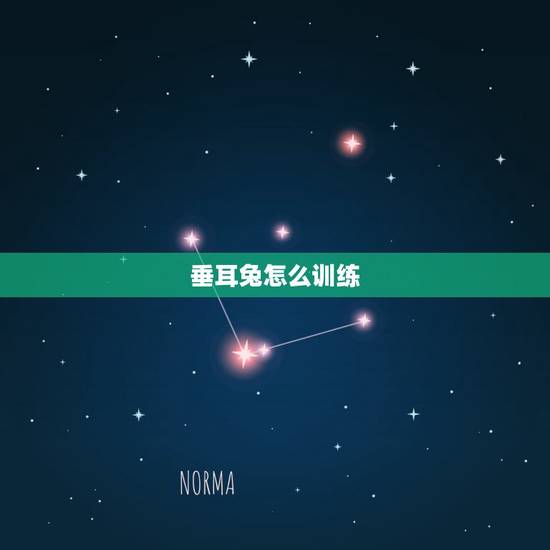 垂耳兔怎么训练，养垂耳兔注意事项