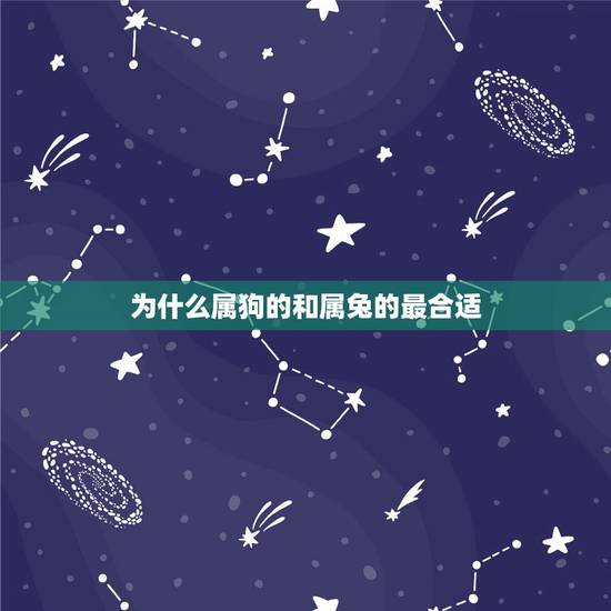 为什么属狗的和属兔的最合适，属狗的和属兔的是否合适