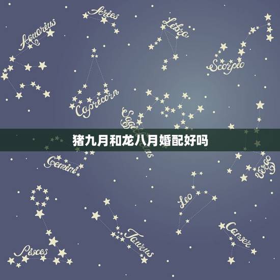 猪九月和龙八月婚配好吗,猪和龙相配吗?谢谢 猪九月和龙八月婚配好吗,猪和龙相配吗?谢谢