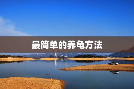 最简单的养龟方法，怎么简单的养乌龟