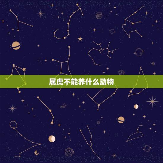 属虎不能养什么动物，属虎人跟属兔人结婚好不好