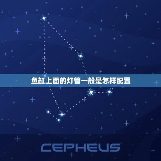 鱼缸上面的灯管一般是怎样配置，水族箱用的插座和普通插座有区别吗？我看水