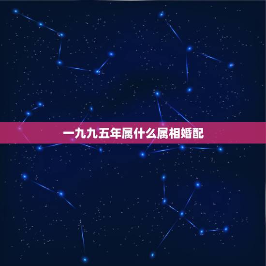 一九九五年属什么属相婚配，1990年属马的和什么属相相配好