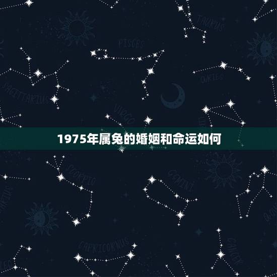 1975年属兔的婚姻和命运如何，1975年属兔的婚姻和命运如何