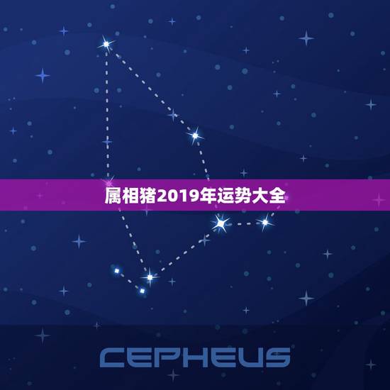 属相猪2019年运势大全，今年属猪运势