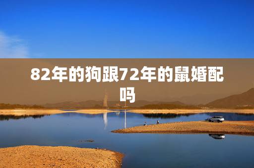 82年的狗跟72年的鼠婚配吗，1972年鼠配1982年狗