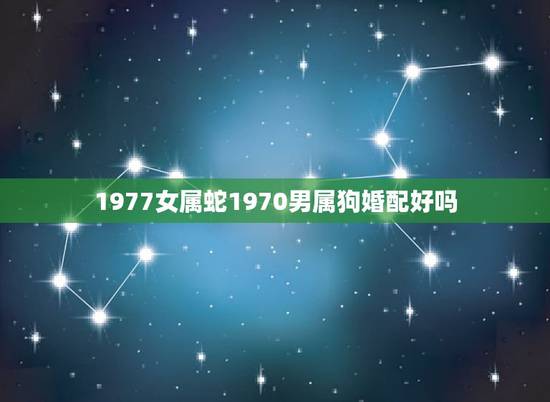 1977女属蛇1970男属狗婚配好吗，1977年属蛇的和1970属狗的