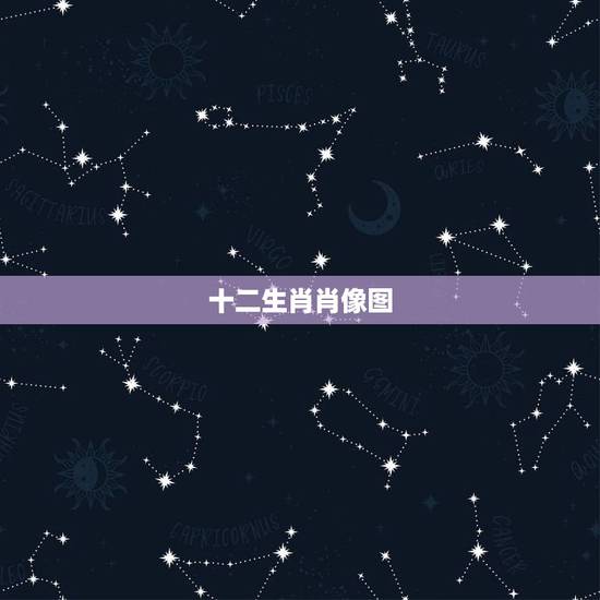 十二生肖肖像图 12生肖图片真实动物图 十二生肖肖像图 12生肖图片真实动物图