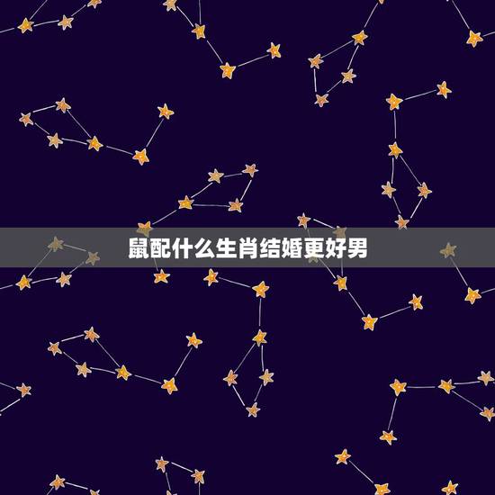 鼠配什么生肖结婚更好男,男鼠的更佳配偶属相 鼠配什么生肖结婚更好男,男鼠的更佳配偶属相