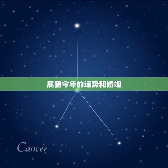 属猪今年的运势和婚姻