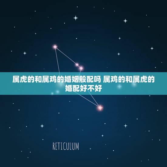 属虎的和属鸡的婚姻般配吗 属鸡的和属虎的婚配好不好