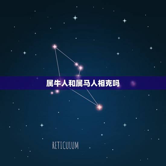 属牛人和属马人相克吗，男属牛和女属马相克么
