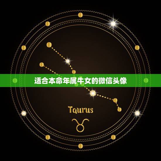 适合本命年属牛女的微信头像,属牛的用什么做微信头像好运来? 适合本命年属牛女的微信头像,属牛的用什么做微信头像好运来?