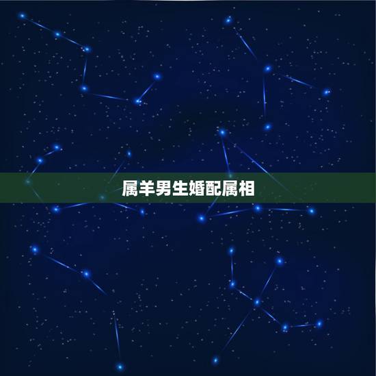 属羊男生婚配属相,91年属羊的属相婚配表 属羊男生婚配属相,91年属羊的属相婚配表