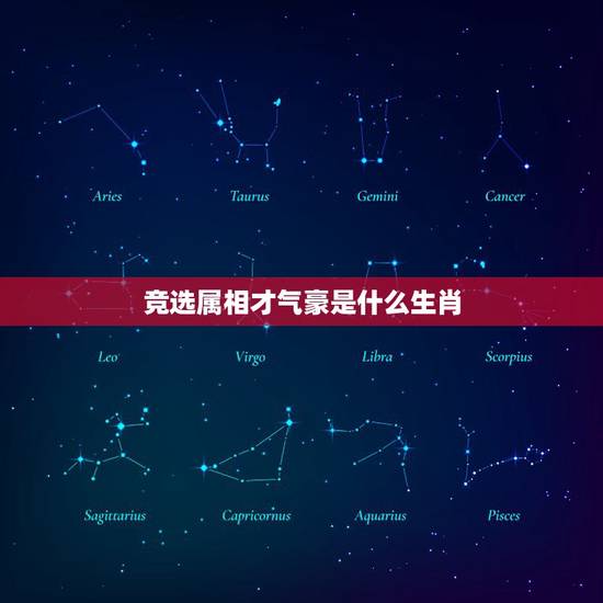 竞选属相才气豪是什么生肖，竞选属相才气豪是指什么动物呢？