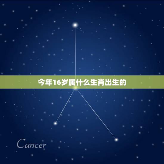 今年16岁属什么生肖出生的,今年16岁生肖是什么 今年16岁属什么生肖出生的,今年16岁生肖是什么