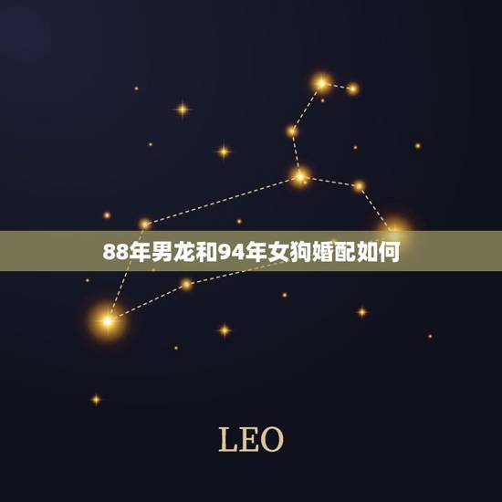 88年男龙和94年女狗婚配如何,1988年属龙的人与1994年的婚姻如 88年男龙和94年女狗婚配如何,1988年属龙的人与1994年的婚姻如