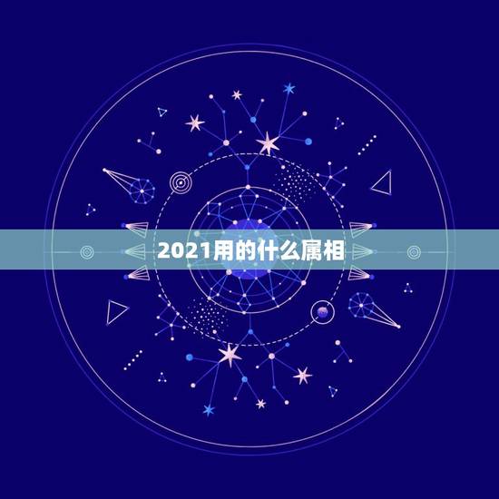 2021用的什么属相,2021年什么属相才会有好的运势啊? 2021用的什么属相,2021年什么属相才会有好的运势啊?