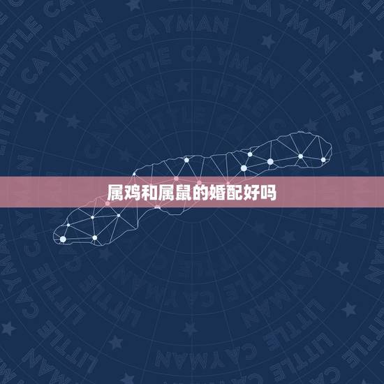 属鸡和属鼠的婚配好吗，属鼠的和属鼠的配吗