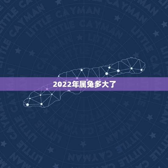 2022年属兔多大了，属兔2022年多大虚岁