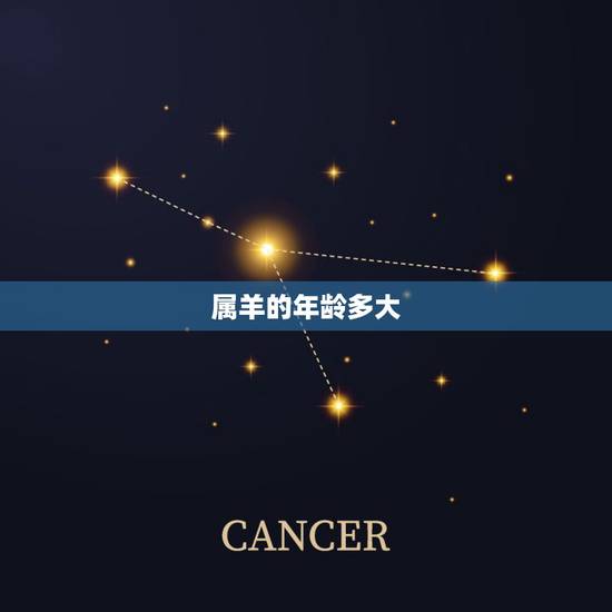 属羊的年龄多大,属马的年龄多大 属羊的年龄多大,属马的年龄多大