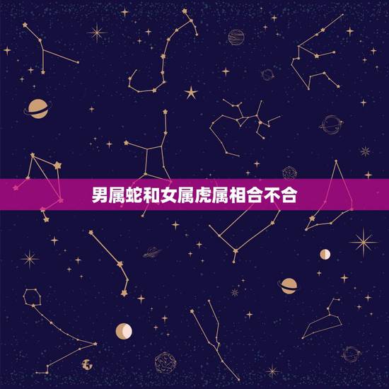 男属蛇和女属虎属相合不合，女属虎男属蛇都是再婚合不合