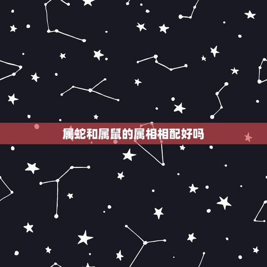 属蛇和属鼠的属相相配好吗，属鼠的人和属蛇的相配吗？