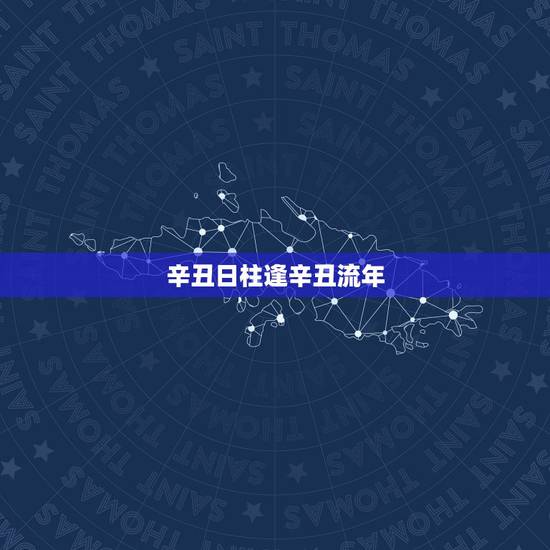 辛丑日柱逢辛丑流年，2022 流年与日柱相同运势