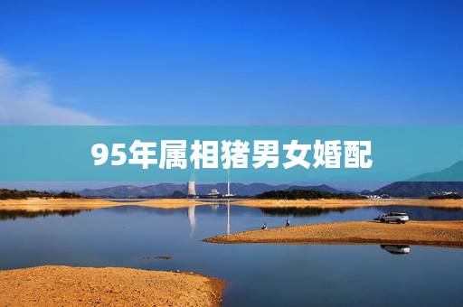 95年属相猪男女婚配,男的是95年的属猪的,女的是99年的属兔的相配吗 95年属相猪男女婚配,男的是95年的属猪的,女的是99年的属兔的相配吗