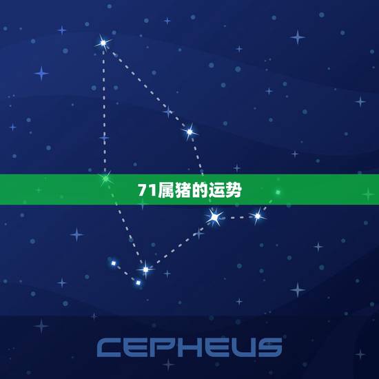 71属猪的运势,71年属猪2021年运势及运程每月运程 71属猪的运势,71年属猪2021年运势及运程每月运程