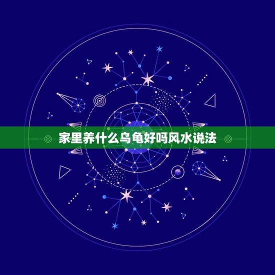 家里养什么乌龟好吗风水说法，风水知识家里养乌龟好吗