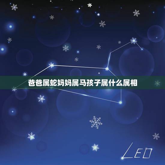 爸爸属蛇妈妈属马孩子属什么属相，属兔的跟什么属相相冲