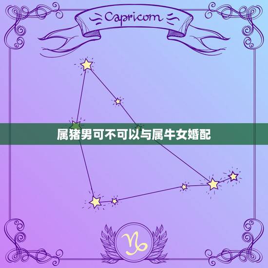 属猪男可不可以与属牛女婚配,属猪男的和属牛女的结为夫妻可以吗? 属猪男可不可以与属牛女婚配,属猪男的和属牛女的结为夫妻可以吗?