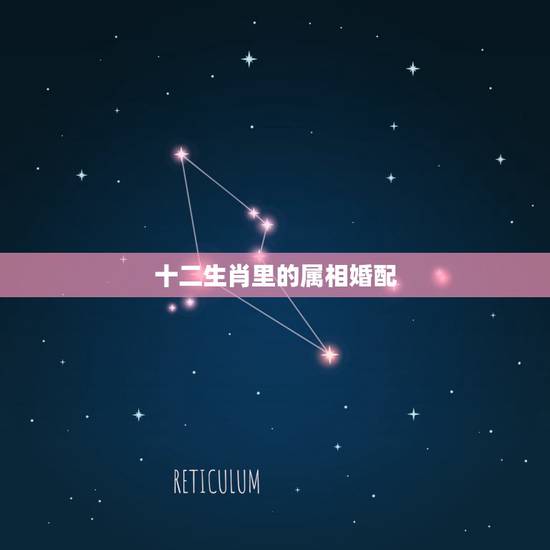十二生肖里的属相婚配,属相婚配的属相配置 十二生肖里的属相婚配,属相婚配的属相配置