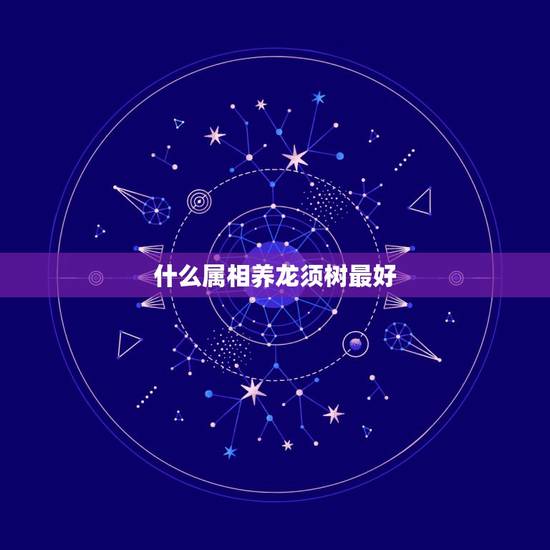 什么属相养龙须树最好,什么属相不能养龙血树 什么属相养龙须树最好,什么属相不能养龙血树